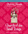 Church of the Small Things Bible Study Guide synopsis, comments