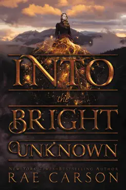 into the bright unknown book cover image