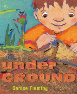 underground book cover image
