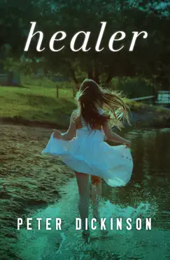 healer book cover image