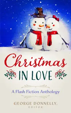 christmas in love book cover image