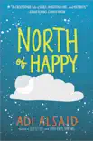 North of Happy synopsis, comments