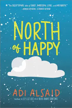 north of happy book cover image