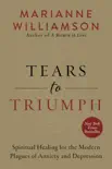 Tears to Triumph synopsis, comments