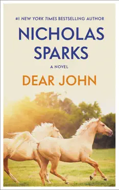 dear john book cover image