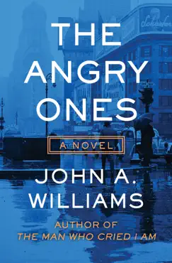 the angry ones book cover image