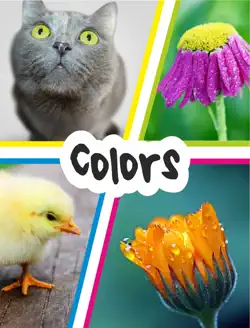 colors book cover image