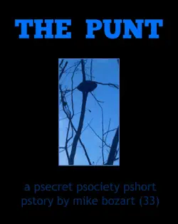 the punt book cover image