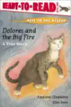 Dolores and the Big Fire synopsis, comments