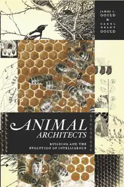 animal architects book cover image