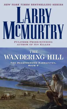 the wandering hill book cover image