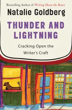 thunder and lightning book cover image