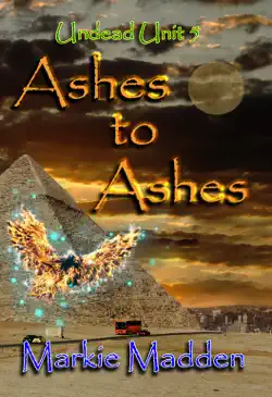 ashes to ashes book cover image