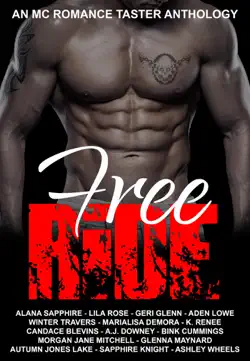 free ride: an mc romance taster anthology book cover image