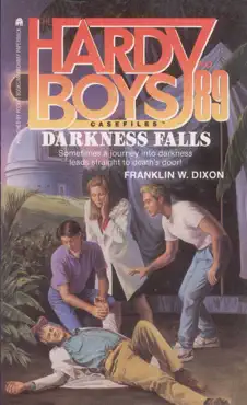 darkness falls book cover image