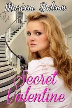 secret valentine book cover image