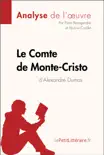 Le Comte de Monte-Cristo d'Alexandre Dumas (Analyse de l'oeuvre) sinopsis y comentarios