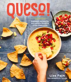 queso! book cover image