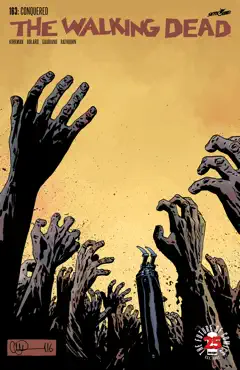 the walking dead #163 book cover image