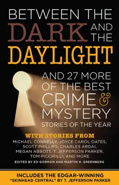 between the dark and the daylight book cover image