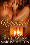 Rekindled, A Christmas Novella synopsis, comments