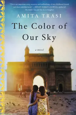 the color of our sky book cover image
