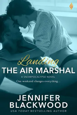landing the air marshal book cover image