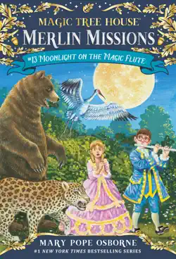 moonlight on the magic flute book cover image