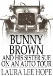 Bunny Brown and His Sister Sue on an Auto Tour synopsis, comments