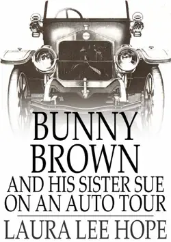 bunny brown and his sister sue on an auto tour book cover image