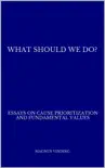 What Should We Do?: Essays on Cause Prioritization and Fundamental Values sinopsis y comentarios