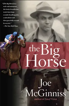 the big horse book cover image