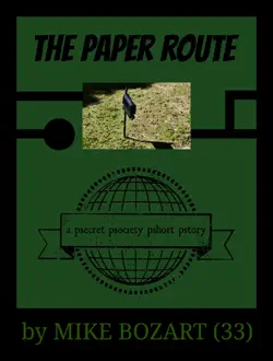 the paper route book cover image