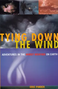 tying down the wind book cover image