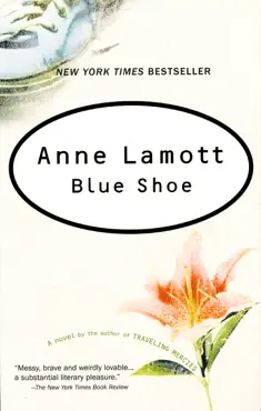 blue shoe book cover image
