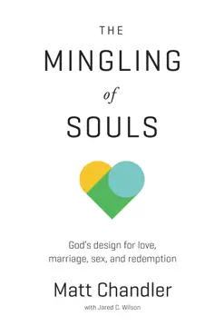 the mingling of souls book cover image