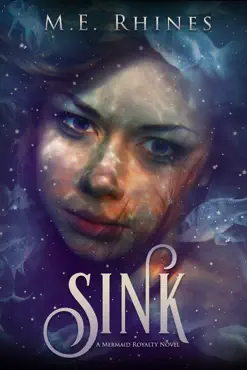 sink book cover image