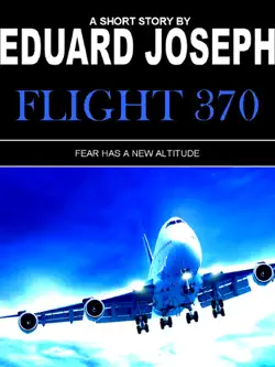 flight 370 book cover image