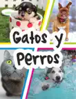 Gatos y Perros synopsis, comments