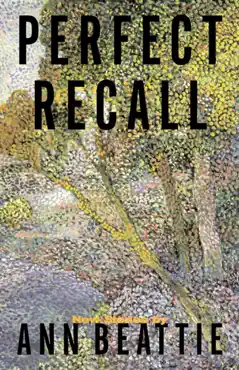 perfect recall book cover image