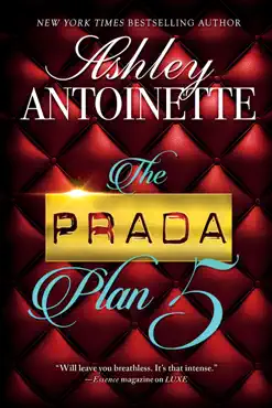 the prada plan 5 book cover image