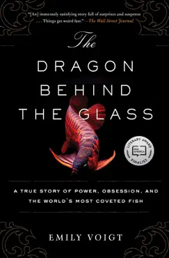 the dragon behind the glass book cover image