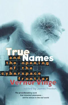 true names and the opening of the cyberspace frontier book cover image