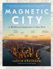 Magnetic City synopsis, comments