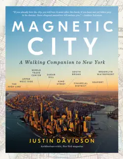 magnetic city book cover image