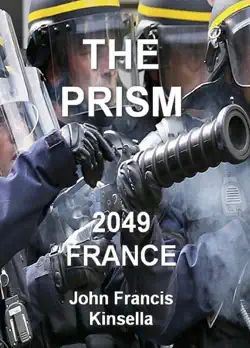 the prism 2049 book cover image
