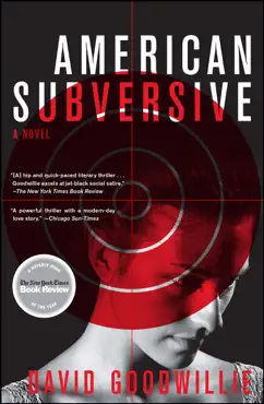american subversive book cover image