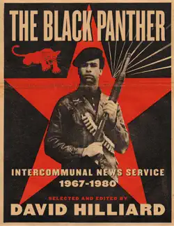 the black panther book cover image