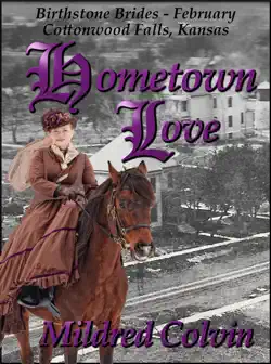 hometown love book cover image