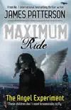 Maximum Ride: The Angel Experiment sinopsis y comentarios